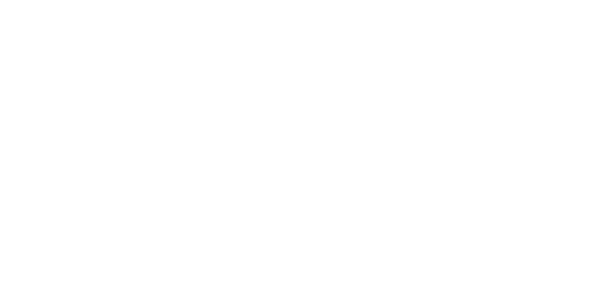 S-네트웍스 logo
